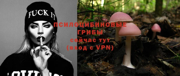 хмурый Алексин