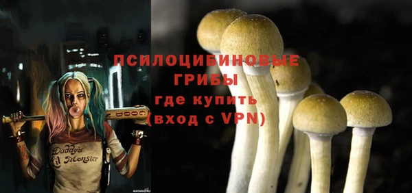 молекула духа Алексеевка