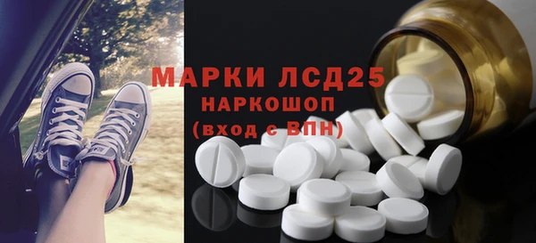 индика Алзамай