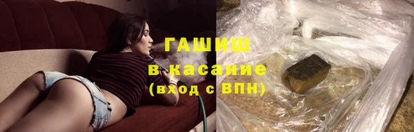хмурый Алексин