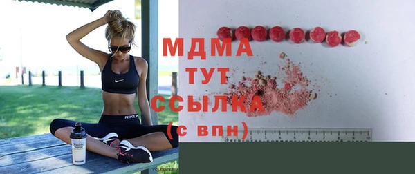 индика Алзамай