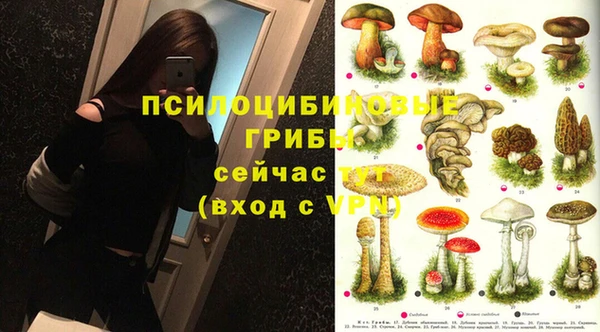 индика Алзамай