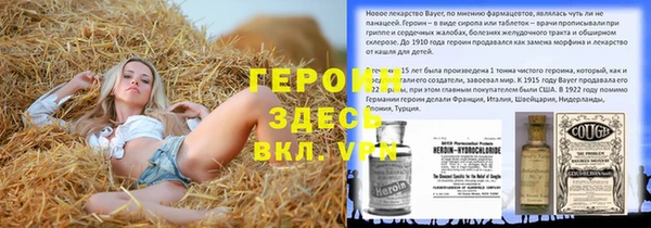 стаф Осинники