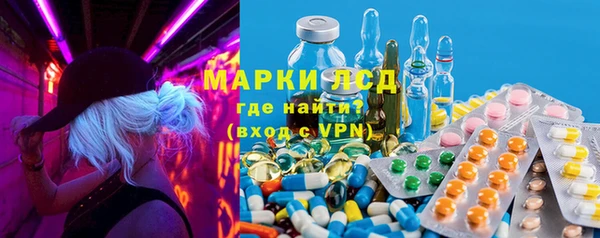 стаф Осинники