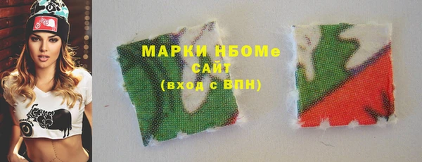 индика Алзамай