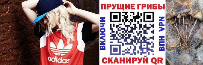 Псилоцибиновые грибы прущие грибы Курск