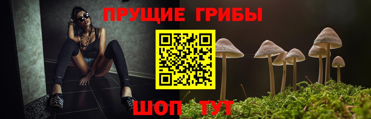 Галлюциногенные грибы ЛСД  как найти закладки  Курск  Вход с VPN 
